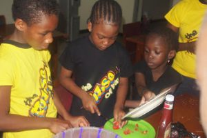 Summer Camp Nigeria (2)